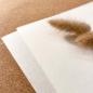 Preview: Karte - Einlegekarte 15x15 cm 230g/m² in pergament ice